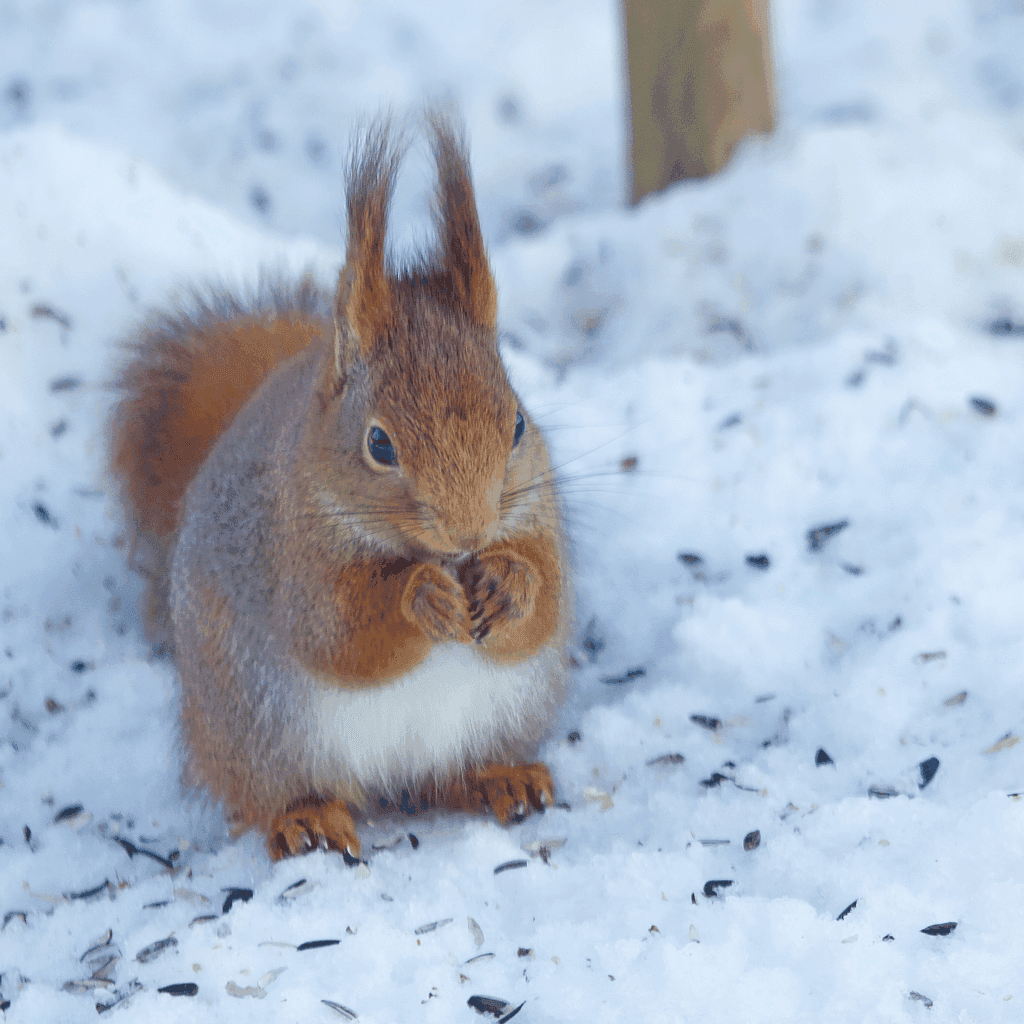 Fotograf Per-Ola Björn