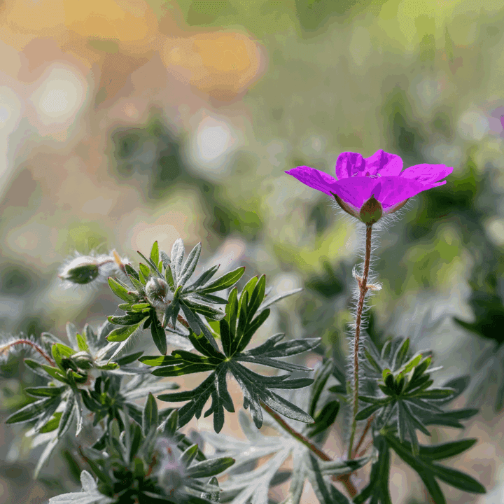 Fotograf Per-Ola Björn