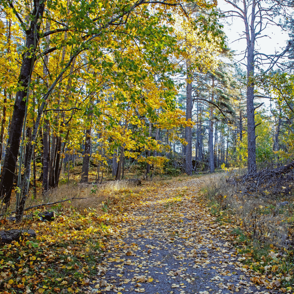 Fotograf Per-Ola Björn
